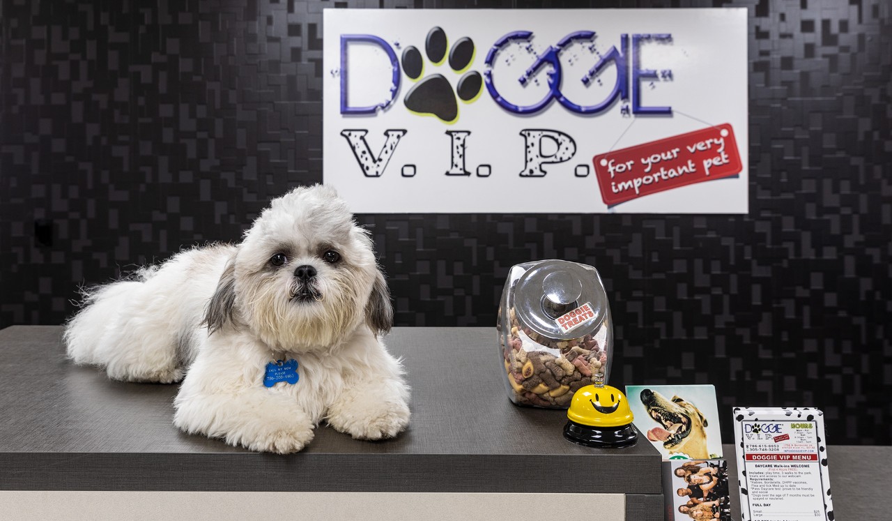 doggie vip